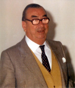 Dr. Jos Luis Insausti Cordn